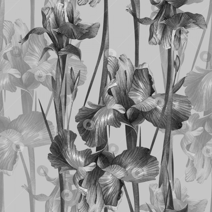 Скачать Узор радужной оболочки. Контрастные черные и белые цветы на сером фоне. фотосток Ozero