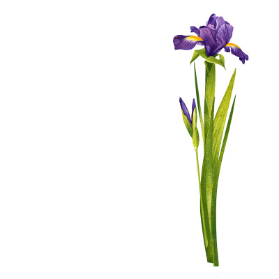 [object Object] undefined