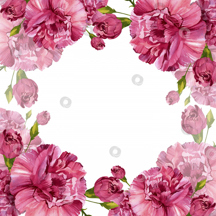 Скачать Букет гвоздик. Розовые бордовые цветы. Винтажная акварельная иллюстрация, выделенная на белом фоне. Венок. фотосток Ozero