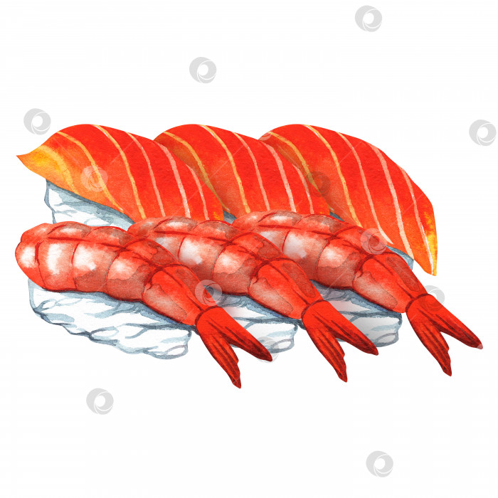 Скачать Суши-сет с креветками и красной рыбой. Акварельная иллюстрация азиатской кухни. Для оформления меню, баннера, плаката. фотосток Ozero