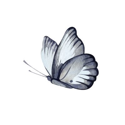 [object Object] undefined