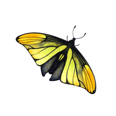 [object Object] undefined