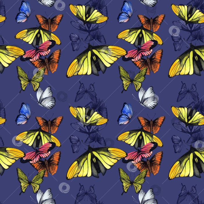 Скачать Узор в виде бабочки. Акварельная бесшовная иллюстрация. Готовый шаблон для оформления обоев, текстиля, фона. фотосток Ozero