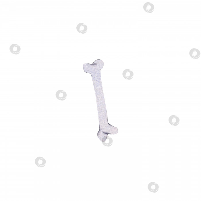 Скачать Серая кость. Акварельная иллюстрация на изолированном белом фоне. фотосток Ozero