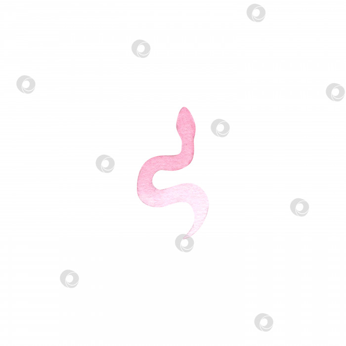 Скачать Розово-белая змея. Акварельная иллюстрация на изолированном белом фоне. фотосток Ozero