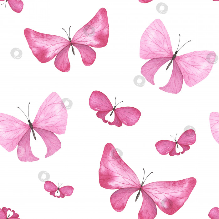 Скачать Бесшовный узор розовой бабочки с детализированными крыльями, выделенными на белом фоне. Акварель, нарисованная от руки для дизайна фотосток Ozero
