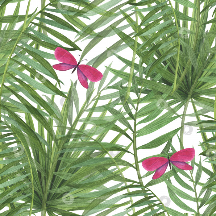Скачать Бесшовный узор - тропические растения и акварельные бабочки, выделенные на белом фоне. Ботаническая иллюстрация, нарисованная акварелью от руки фотосток Ozero