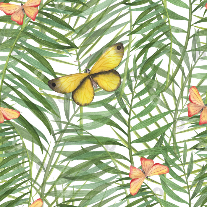 Скачать Бесшовный узор из тропических растений и акварельных бабочек, выделенных на белом фоне. Ботаническая иллюстрация, нарисованная акварелью от руки фотосток Ozero