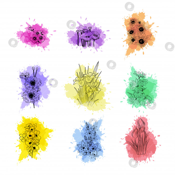 Скачать Очертания различных видов цветов на фоне акварельных пятен фотосток Ozero