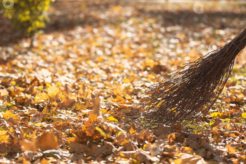 Скачать Метла подметает желтые осенние листья. фотосток Ozero