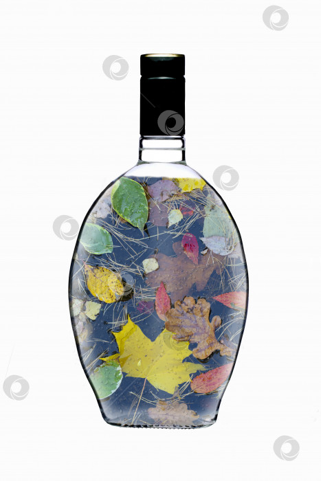 Скачать Стеклянная бутылка, наполненная осенними листьями на белом фоне. фотосток Ozero