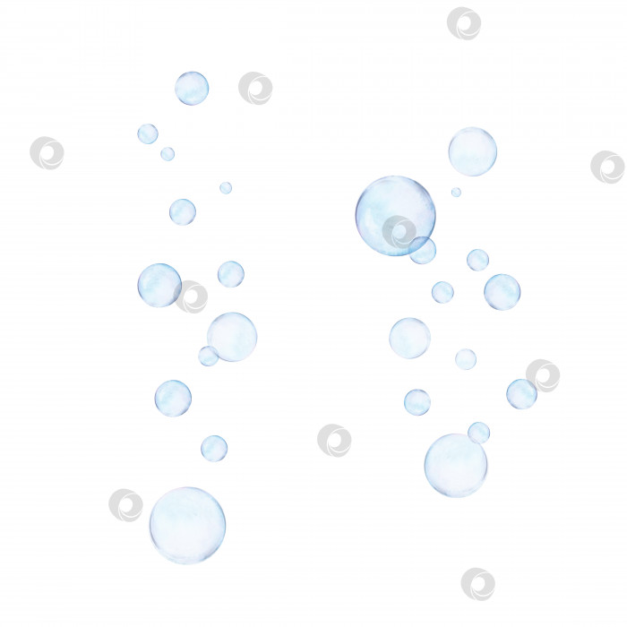 Скачать Нарисованный акварелью набор широких потоков пузырьков, поднимающихся вверх на белом фоне. Прозрачное реалистичное изображение для иллюстрации, наклейки, логотип, текстильная печать, узор, раппорт фотосток Ozero