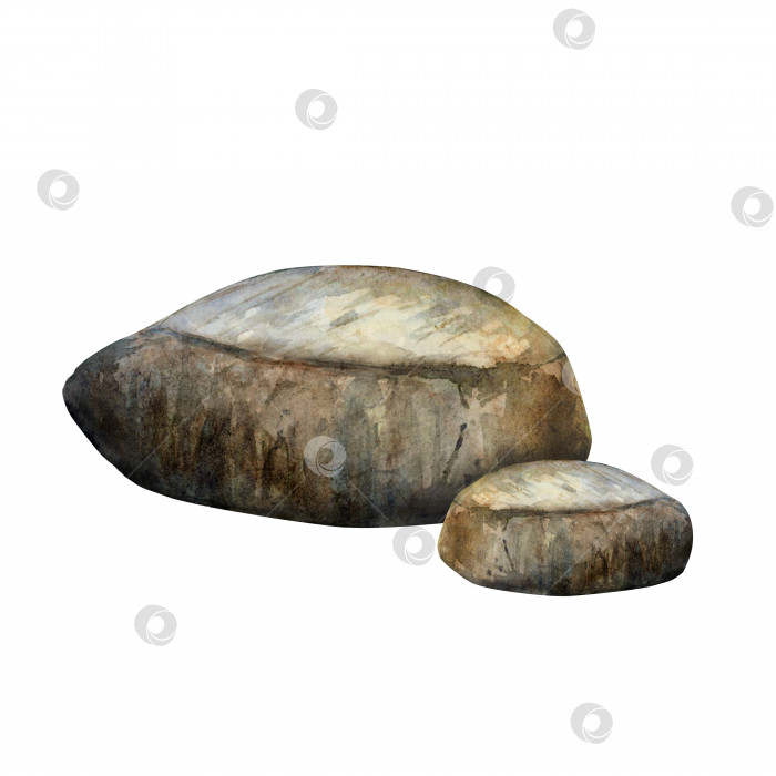 Скачать Акварелью нарисована группа серовато-коричневых донных камней на белом фоне. Подводная картинка для иллюстрации, наклейки, логотип, фон фотосток Ozero