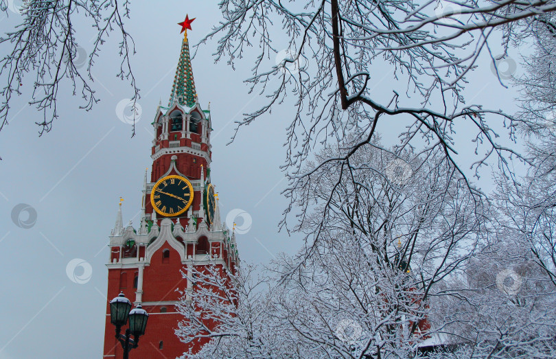 Скачать Московский Кремль зимой, Спасская башня фотосток Ozero