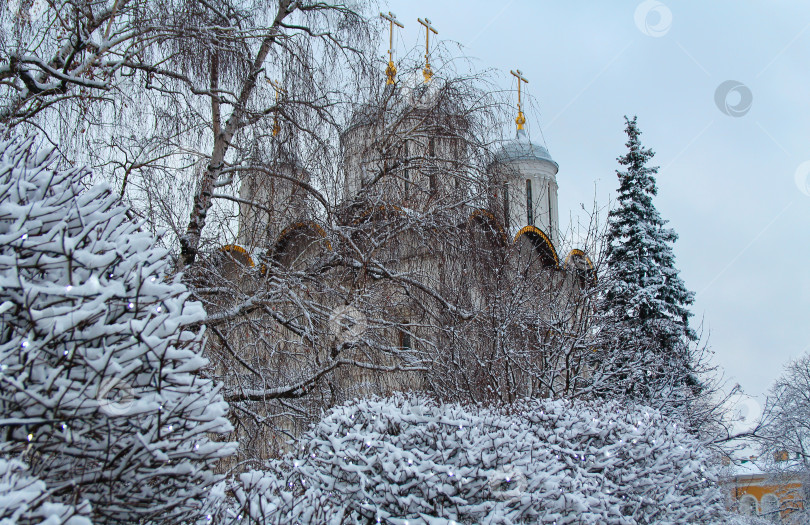 Скачать Церковь на фоне заснеженных деревьев фотосток Ozero