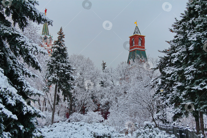 Скачать Башни Московского Кремля и заснеженные деревья фотосток Ozero