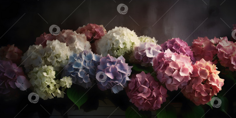 Скачать Темный угрюмый цветочный фон стены с цветком гортензии фотосток Ozero
