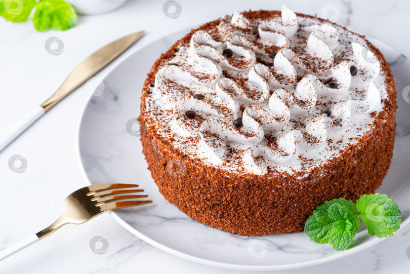 Скачать Идеальный домашний торт тирамису, посыпанный какао-порошком, выложенный на тарелку на столешнице из белого мрамора фотосток Ozero