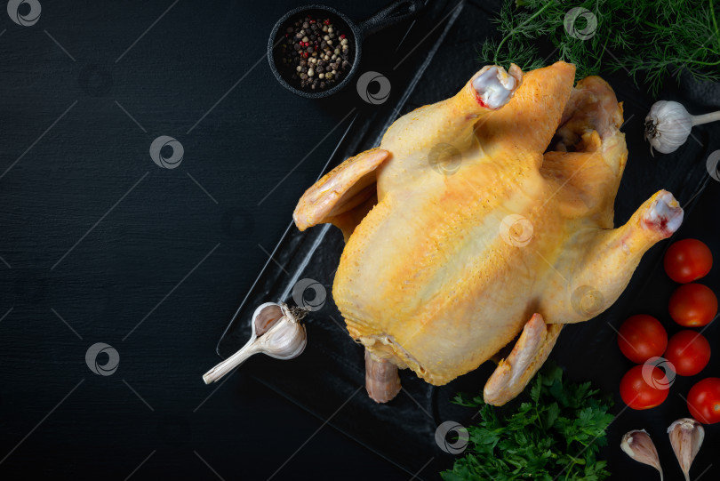 Скачать Цельная сырая курица с перцем, петрушкой, укропом и помидорами фотосток Ozero