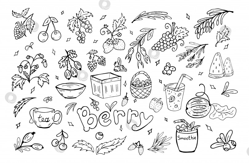 Скачать Набор ягодных летних каракулей. Векторная иллюстрация. Ягоды, листья, корзиночки, смузи, здоровая пища. фотосток Ozero