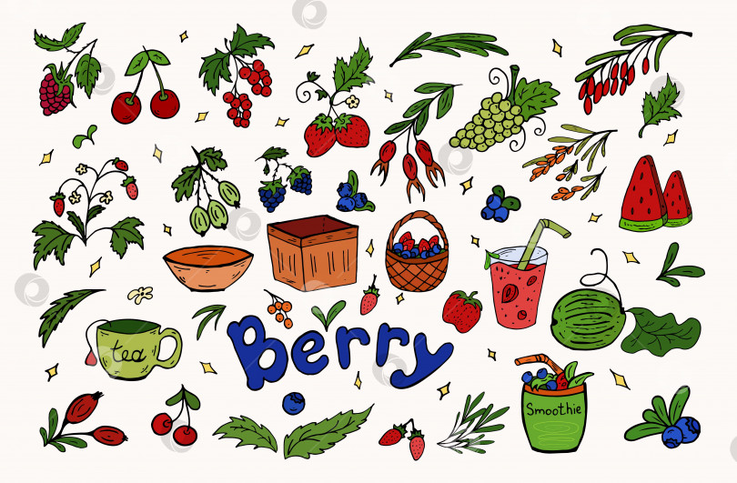 Скачать Установите цвет каракулей с ягодами. Векторная иллюстрация. Ягоды, листья, корзиночки, смузи, здоровая пища. фотосток Ozero