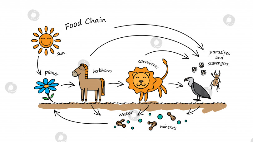 Скачать Иллюстрация пищевой цепочки забавных животных фотосток Ozero