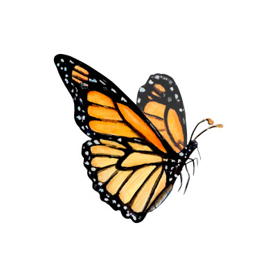 [object Object] undefined