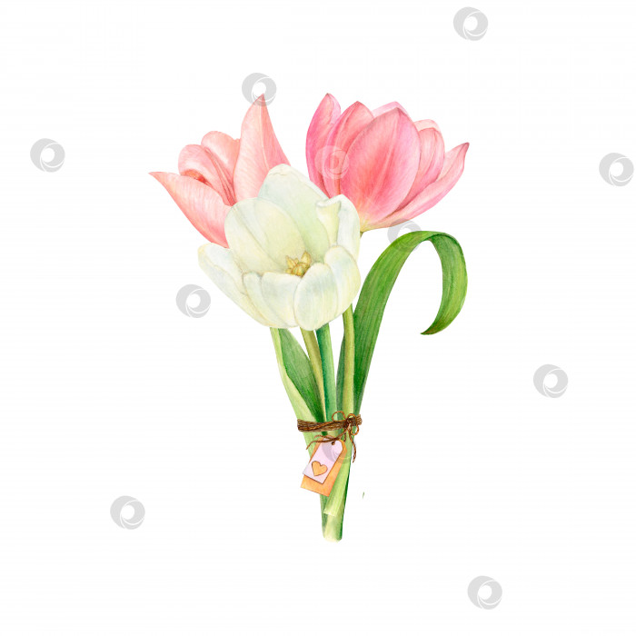 Скачать Акварельная иллюстрация букета цветов из тюльпанов, перевязанного джутом, с валентинкой, биркой фотосток Ozero