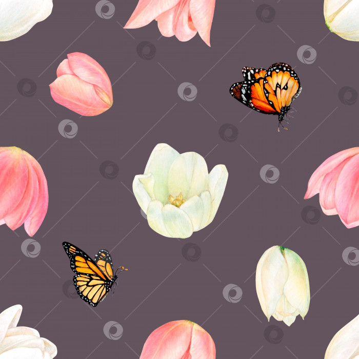 Скачать Акварельный рисунок, изображающий летящих бабочек и головки розовых и белых тюльпанов на черном фоне. Красивая картинка для иллюстрации, наклеек, открыток, скрапбукинга фотосток Ozero