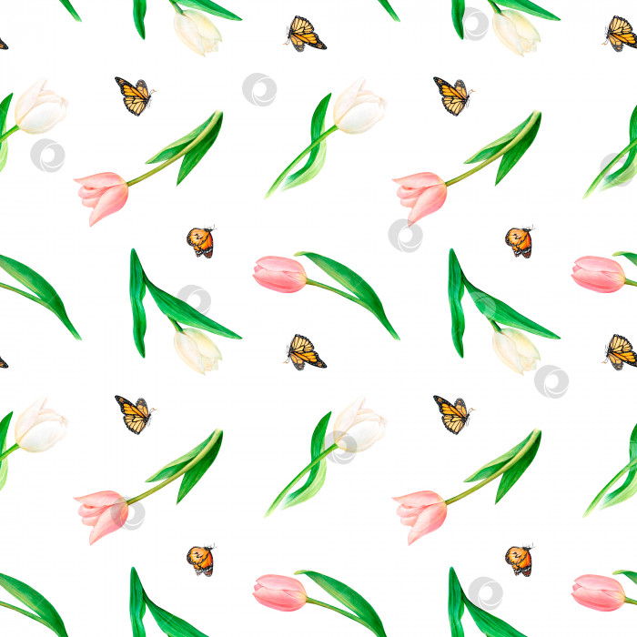 Скачать Акварельный рисунок с изображением летящих бабочек и розовых и белых стеблей тюльпанов на белом фоне. Красивая картинка для иллюстрации, наклеек, открыток, скрапбукинга фотосток Ozero
