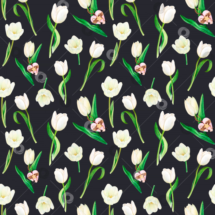 Скачать Акварельный рисунок квадратного узора из красивых белых тюльпанов, отдельно стоящих цветов, деревянных сердечек на черном фоне фотосток Ozero