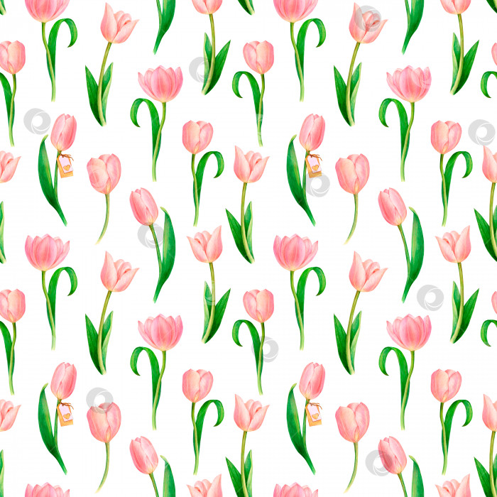 Скачать Акварельный рисунок квадратного узора с красивыми розовыми тюльпанами, отдельно стоящими цветами, именными карточками, бирками в виде сердечек. Белый фон, идеально подходящий для текстильной печати, открыток, баннеров фотосток Ozero