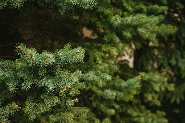 [object Object] undefined