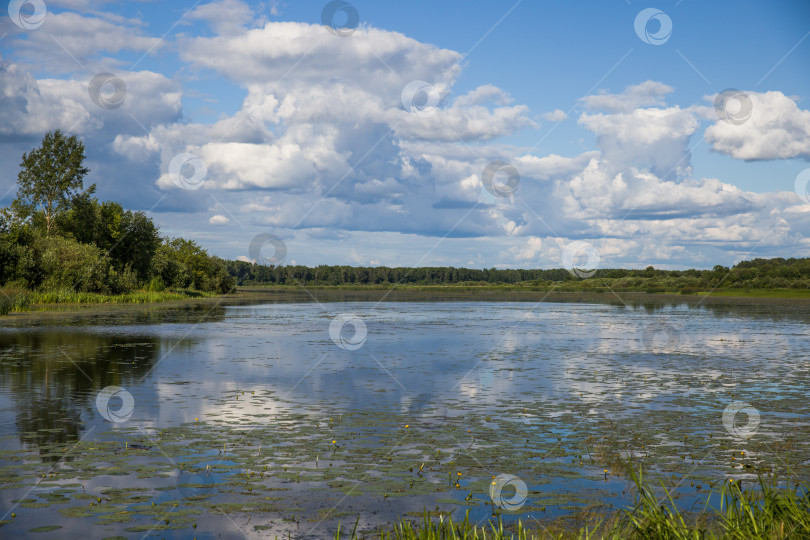 Скачать Вид на озеро фотосток Ozero