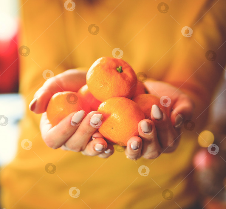 Скачать Молодая женщина держит в руках спелые мандарины. Сочный цитрусовый фрукт в руках девушки. фотосток Ozero