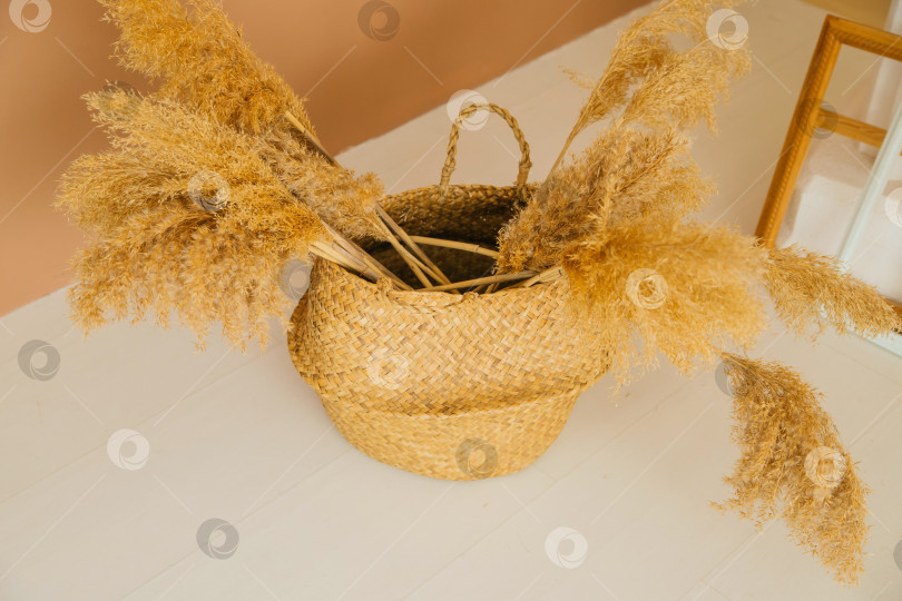 Скачать В интерьере на полу стоит плетеная корзина с метелками тростника. фотосток Ozero