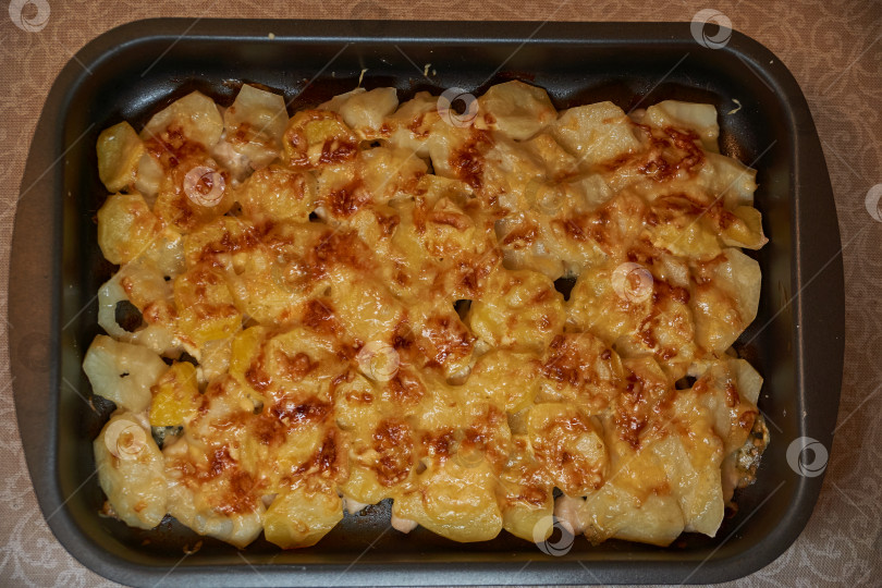 Скачать Запеченные в духовке кусочки курицы с ломтиками картофеля и сыром. фотосток Ozero