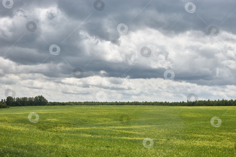 Скачать ПОСЛЕ ДОЖДЯ фотосток Ozero