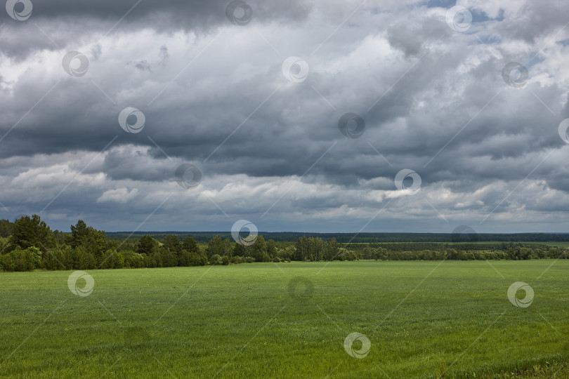 Скачать ПОСЛЕ ДОЖДЯ фотосток Ozero