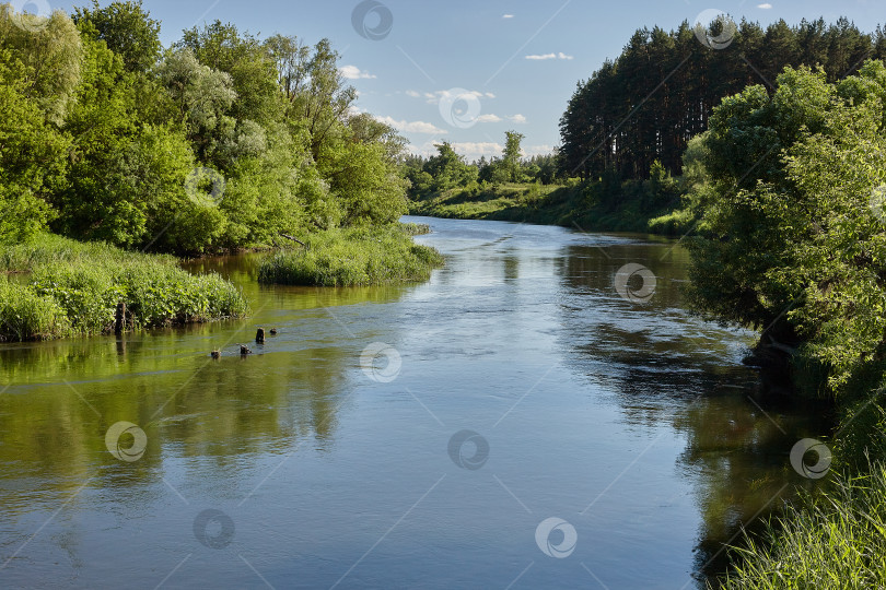 Скачать КРАСАВЕЦ ХОПЕР фотосток Ozero