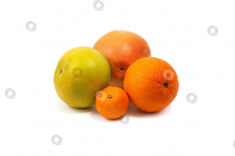 Скачать Группа цитрусовых на белом фоне. На белом фоне изображены апельсин, грейпфрут, мандарин. Изолированный фотосток Ozero