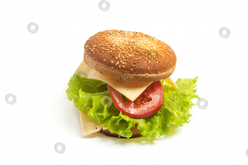 Скачать Разобранный сэндвич, приготовленный из ломтиков хлеба, помидоров, сыра и зеленого салата на белом фоне. Изолированный фотосток Ozero
