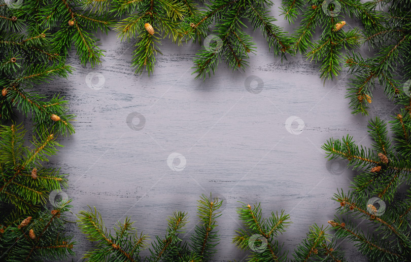 Скачать Рождественский фон с еловыми ветками на серой доске. Пространство для копирования. фотосток Ozero