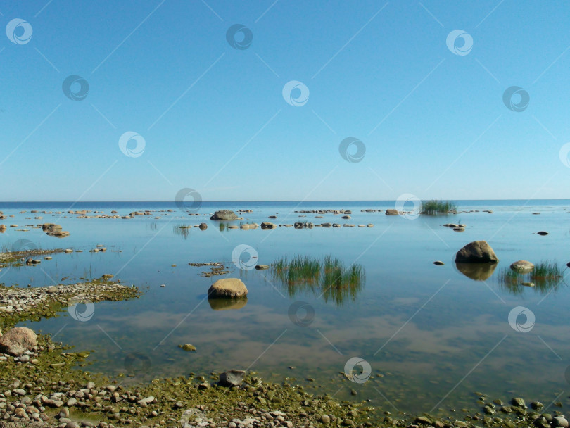 Скачать Ладожское озеро. Россия. пейзаж фотосток Ozero