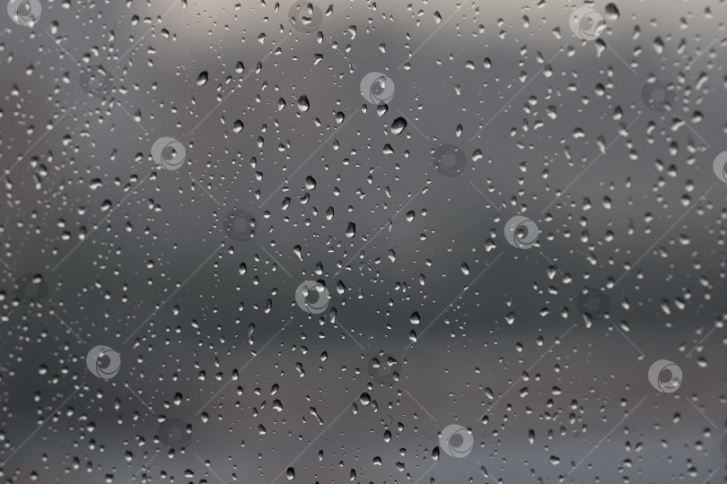 Скачать Капли дождя бегут по стеклу фотосток Ozero