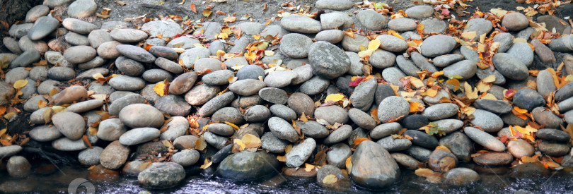 Скачать Крупные камни укладываются в линию. Желтые листья падают на камни. Осень этого года. фотосток Ozero