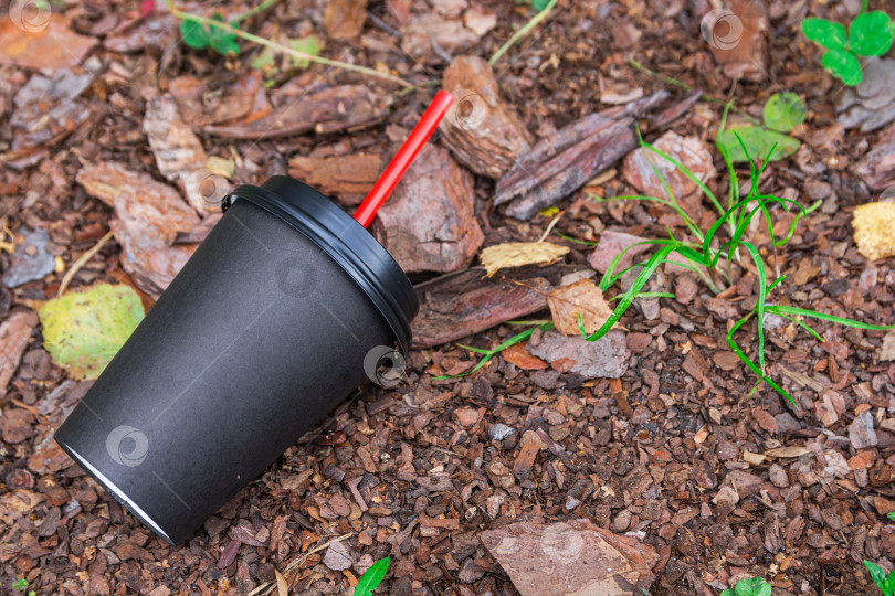 Скачать Пустой бумажный стаканчик из-под кофе лежит на земле в парке. Загрязнение окружающей среды фотосток Ozero
