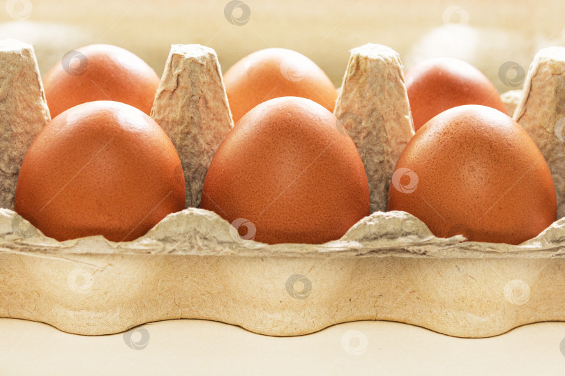 Скачать Коричневая картонная коробка со свежими красными яйцами на белом фоне. Диета. Крупный план фотосток Ozero