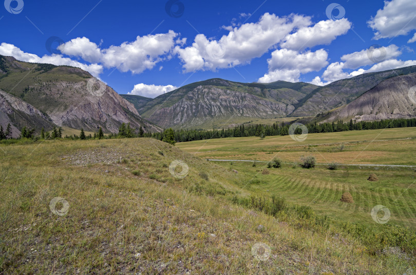 Скачать Сенокос в горах. Алтай, Россия. фотосток Ozero