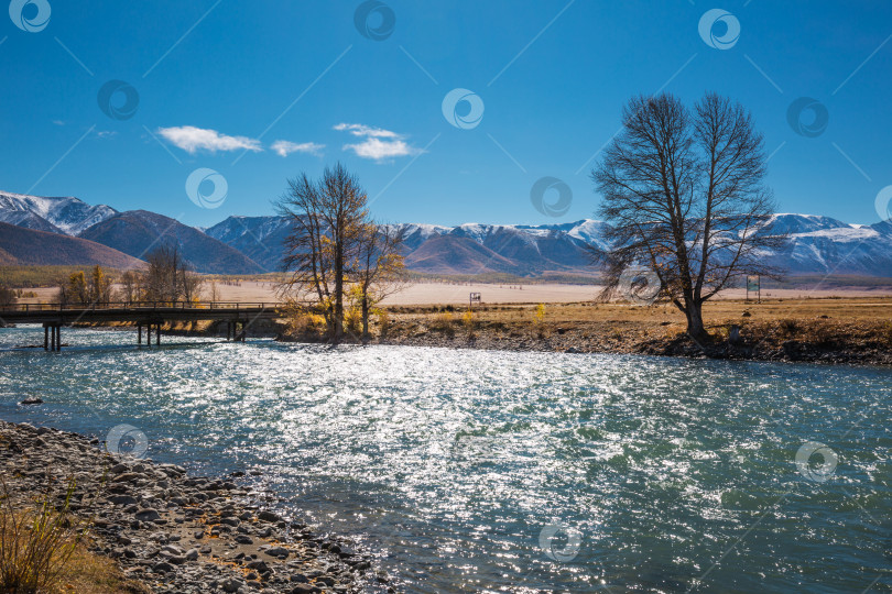 Скачать Река Чуя в Курайской степи осенью. Кош-Агачский район Республики Алтай. фотосток Ozero